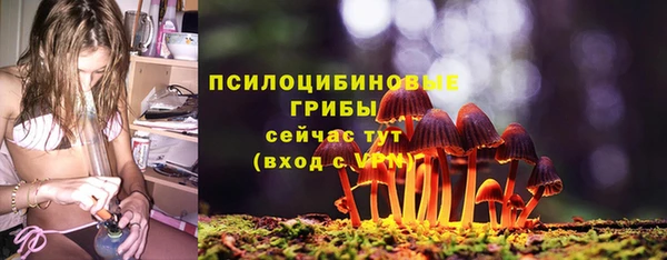 гидропоника Абаза